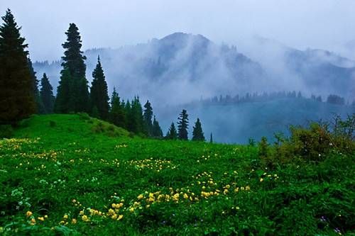 南山牧场