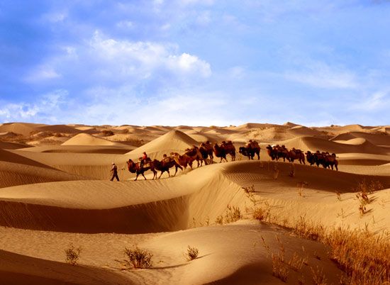 喀什麦盖提县旅游景点图片